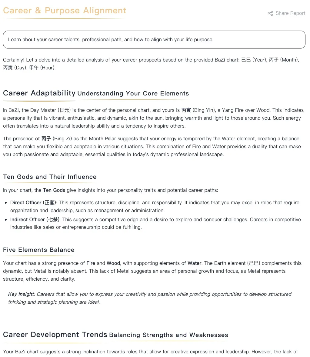 Career & Purpose Alignment - BaZi chart reading revealing optimal career paths, leadership style, and workplace dynamics based on your elemental energies
